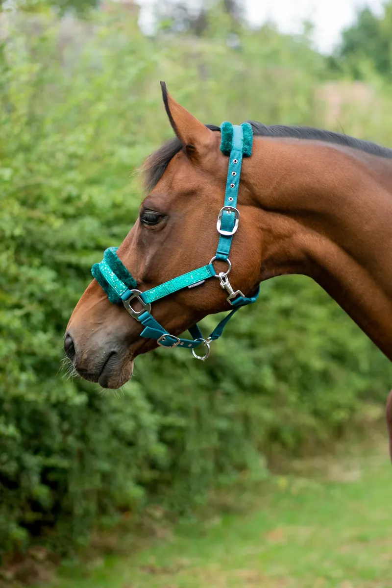 Hy Equestrian Dazzle Head Collar - Alpine Green-1